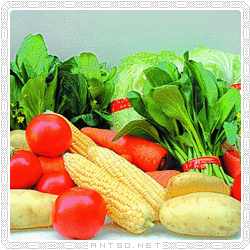 适合肥胖人群吃的七种蔬菜